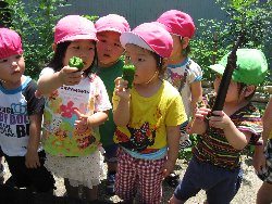 7��1���@��񂰁@��؎��n_6