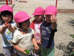 7��1���@��񂰁@��؎��n_7