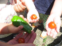 7��1���@��񂰁@��؎��n_8