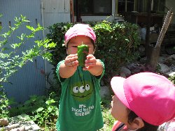 7��1���@��񂰁@��؎��n_9