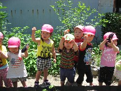 7��1���@��񂰁@��؎��n_10