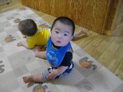 7��3���@�����@�V�����V��_13