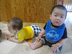 7��3���@�����@�V�����V��_25