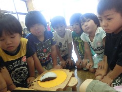 7��5���@�Ђ܂��@�ۓJ�Ɍ�����_6