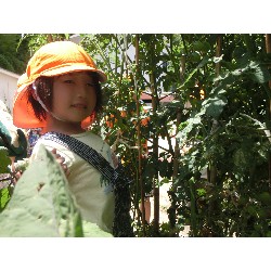 7��8���@�Ђ܂��@��؂̎��n_5