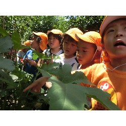 7��8���@�Ђ܂��@��؂̎��n_12