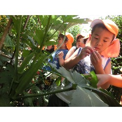 7��8���@�Ђ܂��@��؂̎��n_14