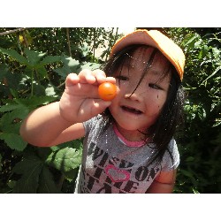 7��8���@�Ђ܂��@��؂̎��n_21