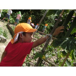 7��8���@�Ђ܂��@��؂̎��n_22