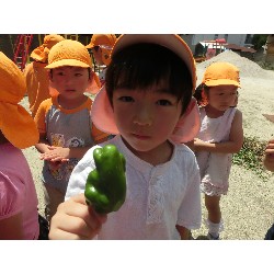 7��8���@�Ђ܂��@��؂̎��n_23