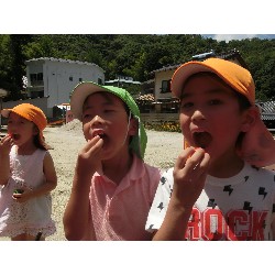 7��8���@�Ђ܂��@��؂̎��n_25