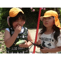 7��8���@�Ђ܂��@��؂̎��n_27