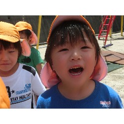 7��8���@�Ђ܂��@��؂̎��n_28