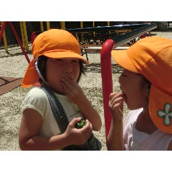 7��8���@�Ђ܂��@��؂̎��n_29