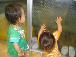 7��8���@�����@�����V��_16