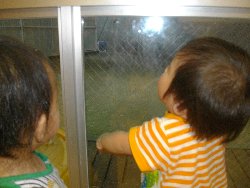 7��8���@�����@�����V��_17