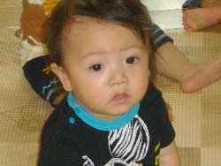 7��8���@�����@�����V��_51