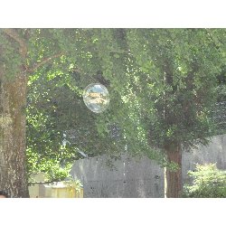 7��10���@����ۂہ@���{���̓�_14