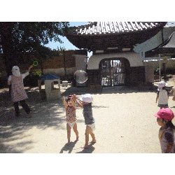 7��10���@����ۂہ@���{���̓�_20