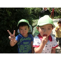 7��16���@�����E�������@��؂̎��n_3