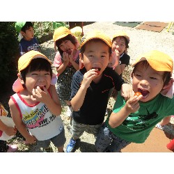 7��16���@�����E�������@��؂̎��n_4