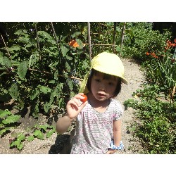 7��16���@�����E�������@��؂̎��n_8