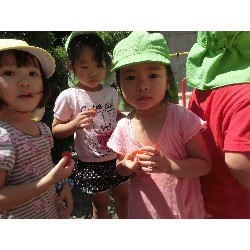 7��16���@�����E�������@��؂̎��n_11