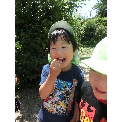 7��16���@�����E�������@��؂̎��n_12