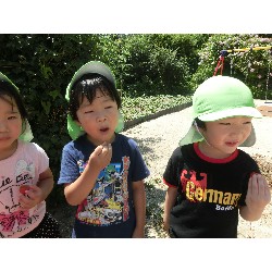 7��16���@�����E�������@��؂̎��n_13