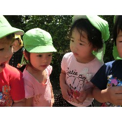 7��16���@�����E�������@��؂̎��n_14