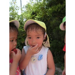 7��16���@�����E�������@��؂̎��n_15