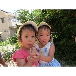 7��16���@�����E�������@��؂̎��n_16