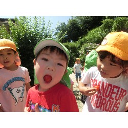 7��16���@�����E�������@��؂̎��n_20