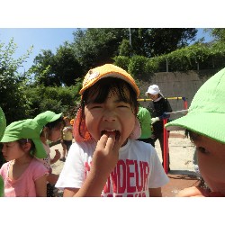 7��16���@�����E�������@��؂̎��n_21