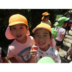 7��16���@�����E�������@��؂̎��n_22