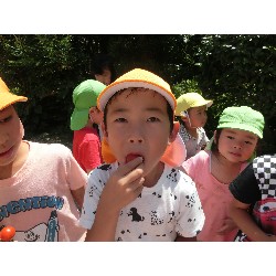 7��16���@�����E�������@��؂̎��n_23