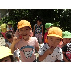 7��16���@�����E�������@��؂̎��n_24