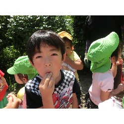 7��16���@�����E�������@��؂̎��n_25