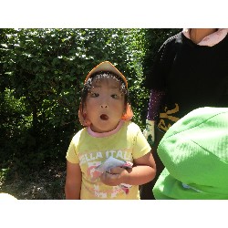 7��16���@�����E�������@��؂̎��n_26