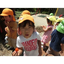 7��16���@�����E�������@��؂̎��n_27