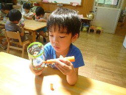 7��17���@�������@�������ᐻ��_6