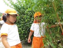 7��23���@�炢����E�ς񂾁@��؂̎��n_2