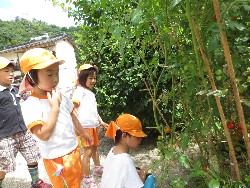 7��23���@�炢����E�ς񂾁@��؂̎��n_3