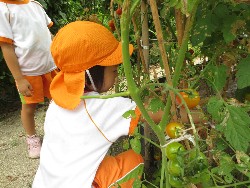 7��23���@�炢����E�ς񂾁@��؂̎��n_4