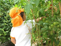 7��23���@�炢����E�ς񂾁@��؂̎��n_5