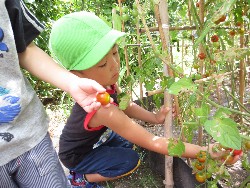 7��23���@�炢����E�ς񂾁@��؂̎��n_6