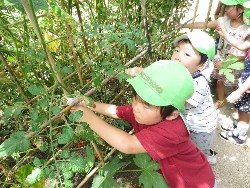 7��23���@�炢����E�ς񂾁@��؂̎��n_8