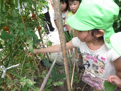 7��23���@�炢����E�ς񂾁@��؂̎��n_9