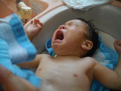 7��26���@�����@���{���̓�_10