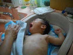 7��26���@�����@���{���̓�_11